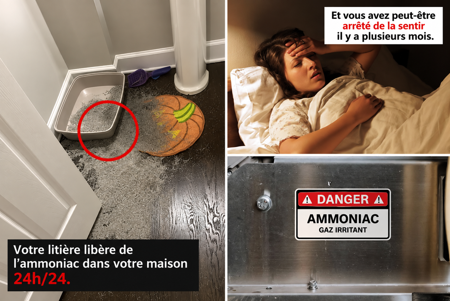 L’ammoniac libéré par la litière circule dans la maison