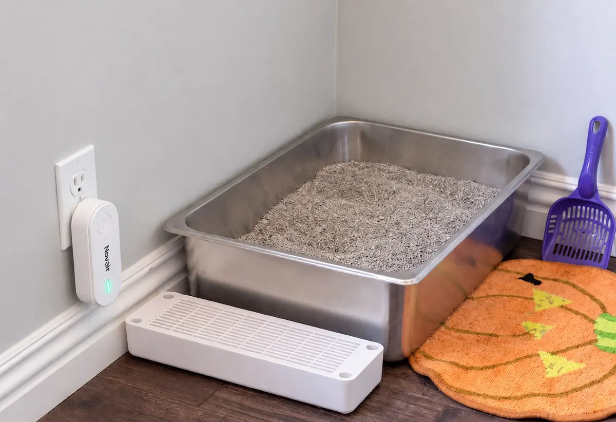 Appareil NOVAIR branché sur une prise à proximité immédiate d’une litière